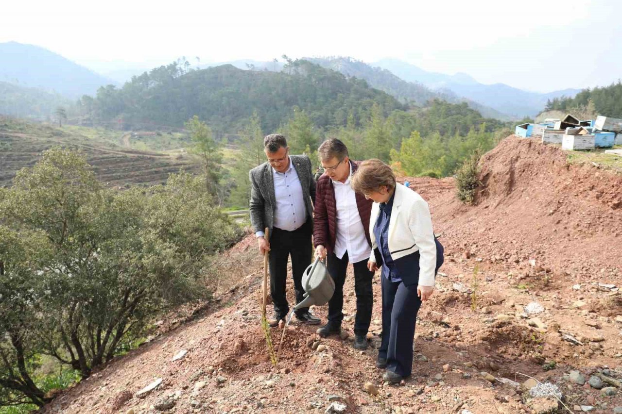 EMARÇEP üyesi başkanlar fidan dikti