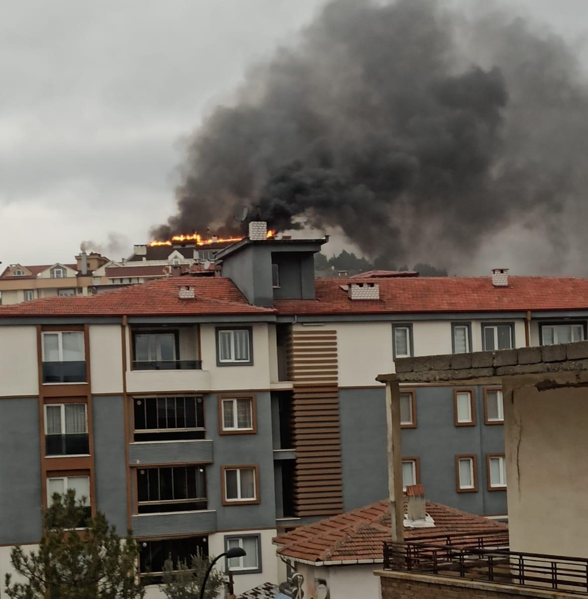 Sinop’ta çatı yangını