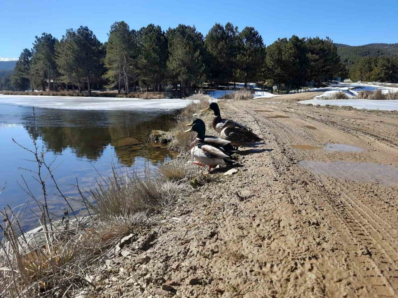 Akdağ’da kış ve bahar mevsimleri bir arada görüntülendi