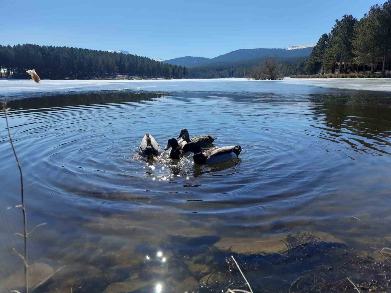 Akdağ’da kış ve bahar mevsimleri bir arada görüntülendi