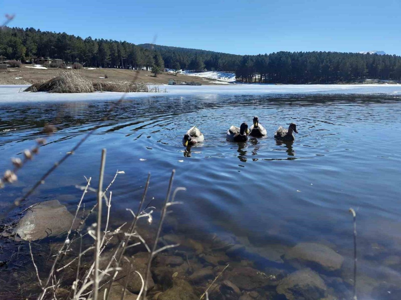 Akdağ’da kış ve bahar mevsimleri bir arada görüntülendi