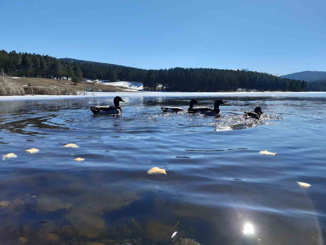 Akdağ’da kış ve bahar mevsimleri bir arada görüntülendi