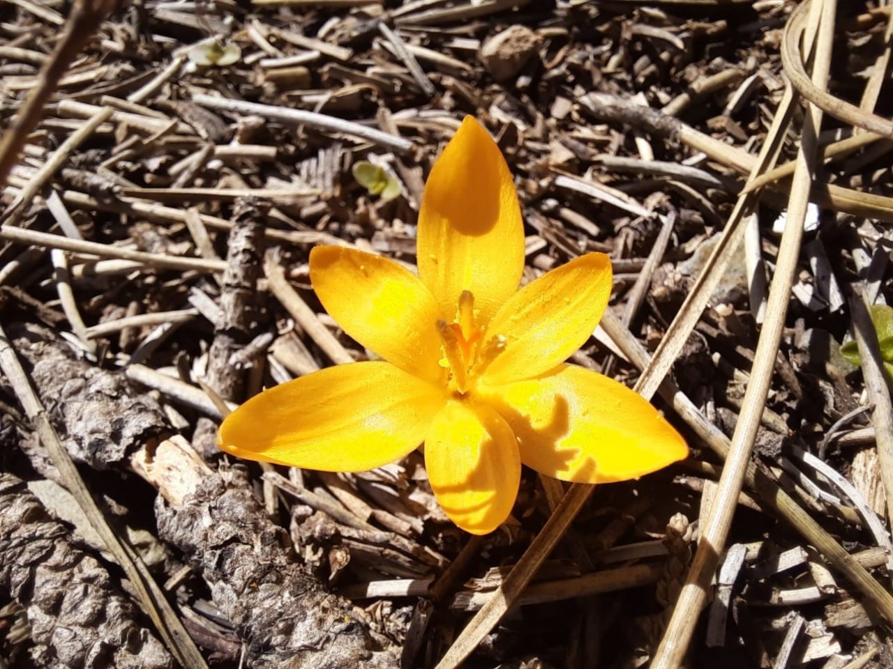 Akdağ’da kış ve bahar mevsimleri bir arada görüntülendi