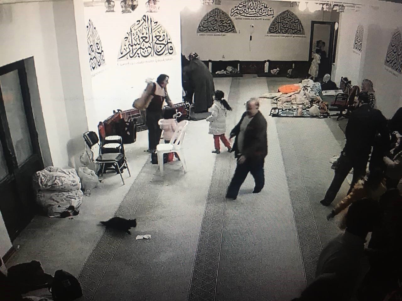 Depremde yaşlı adamın kedisini kurtarma anı yürekleri ısıttı