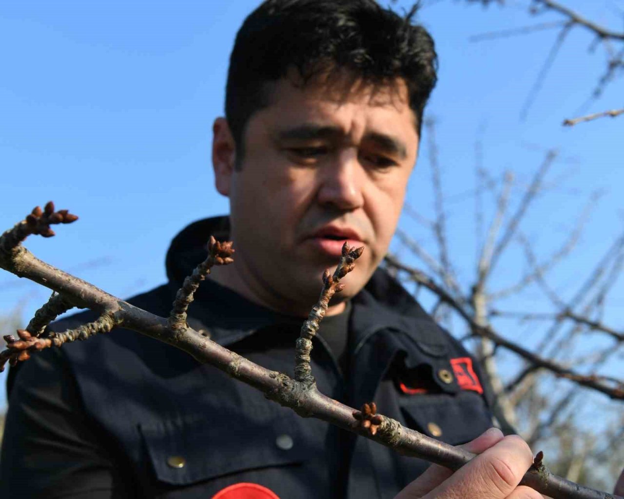 Meyve ağaçları soğuklama ihtiyaçlarını karşıladı