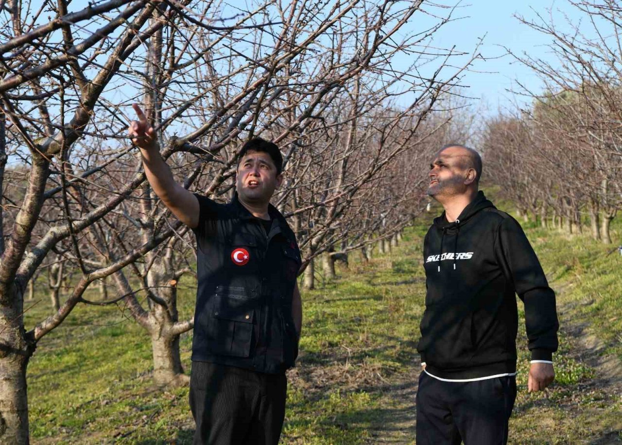 Meyve ağaçları soğuklama ihtiyaçlarını karşıladı