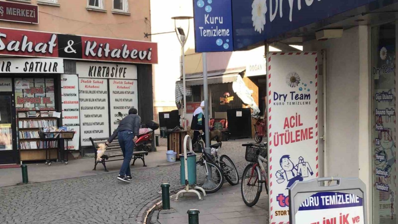 Sokak köpeği mağazadan pelüş oyuncak çaldı