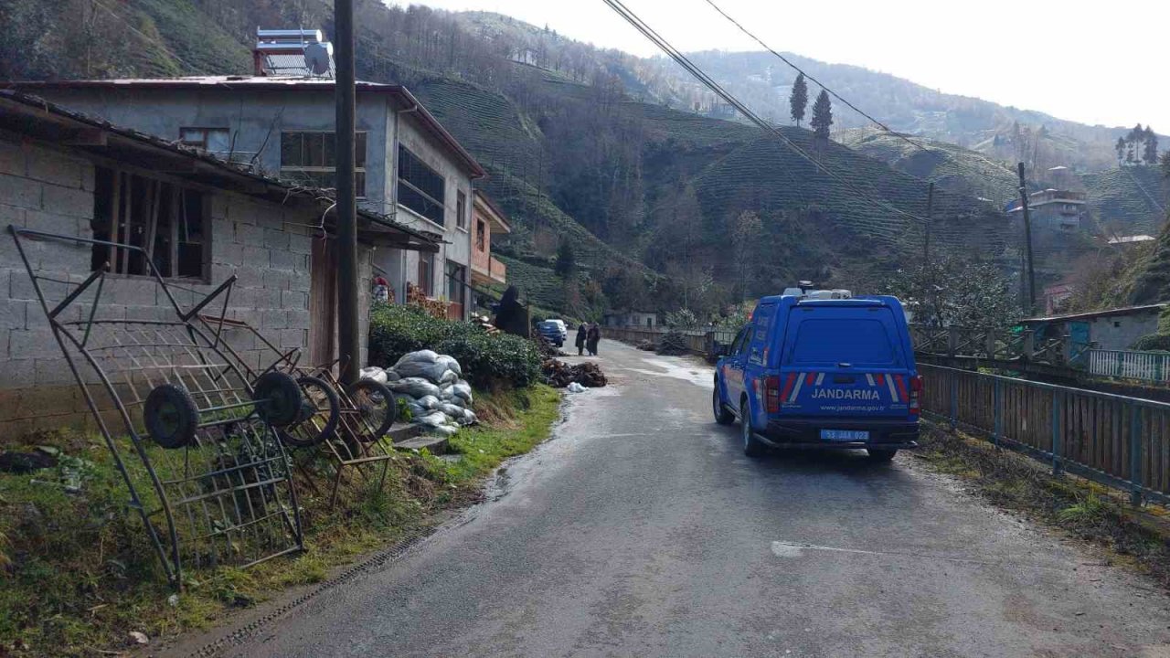 Sokak köpeklerinin saldırısı sonucu öldüğü iddia edilen şahsın ölüm nedeni otopsi sonrası belli olacak