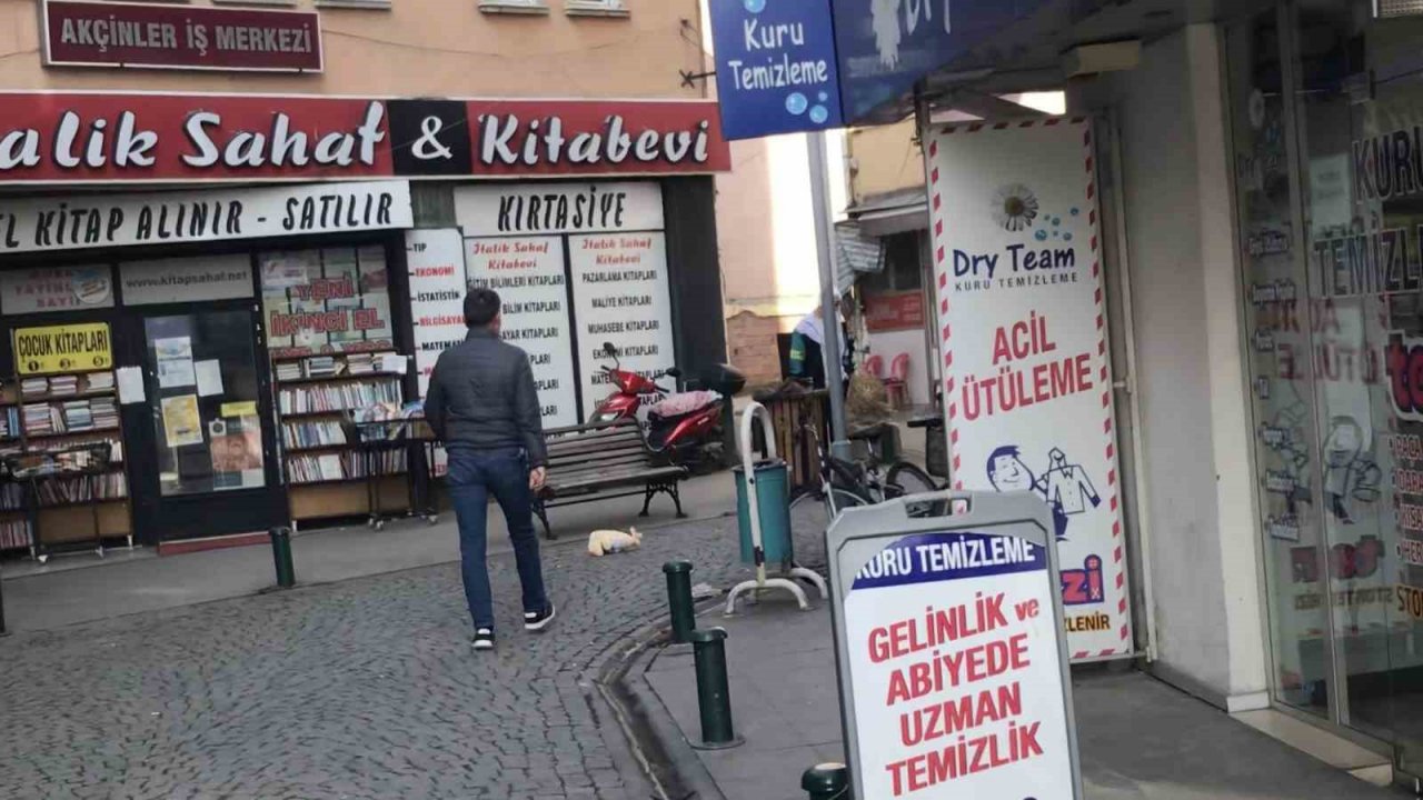 Sokak köpeği mağazadan pelüş oyuncak çaldı