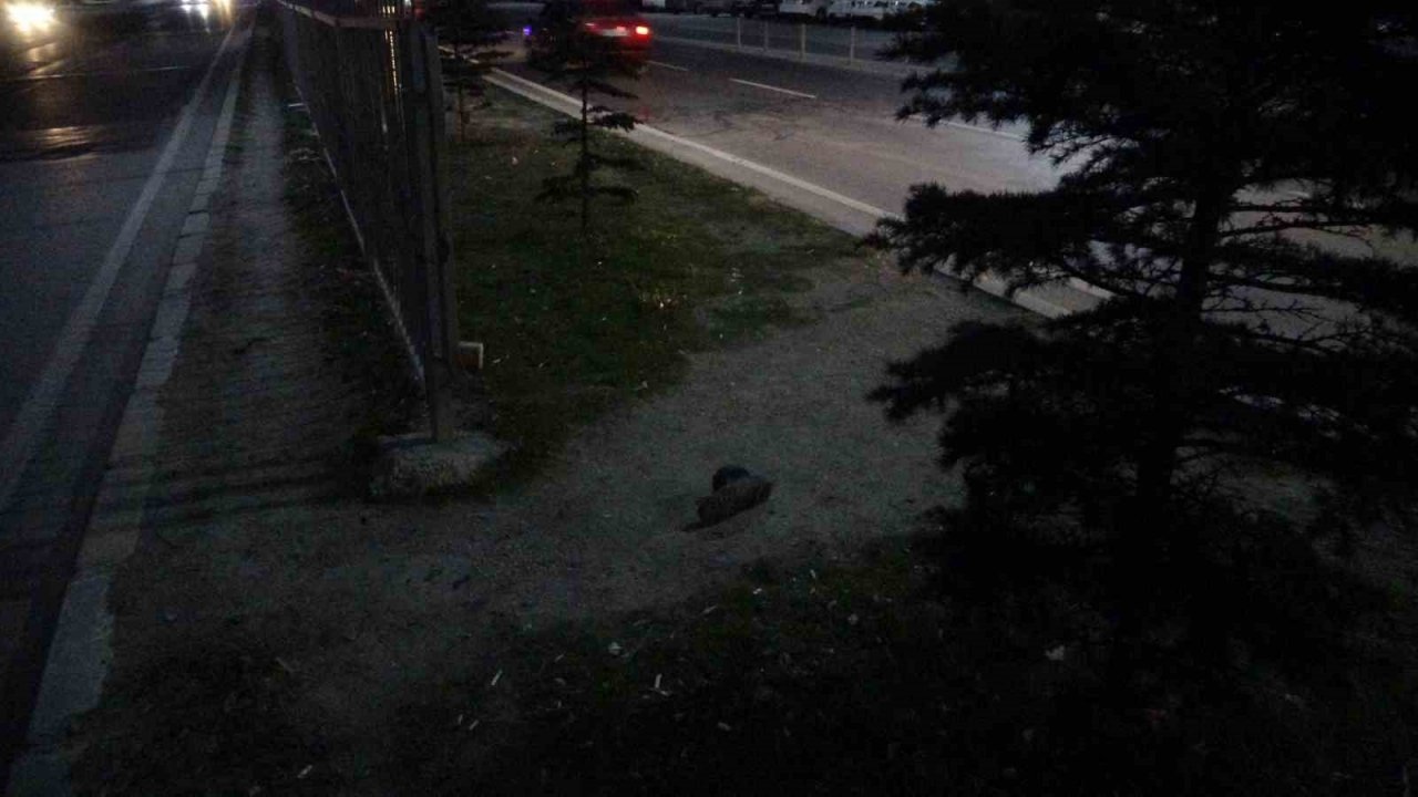 Otomobilin çarptığı yaya ağır yaralandı