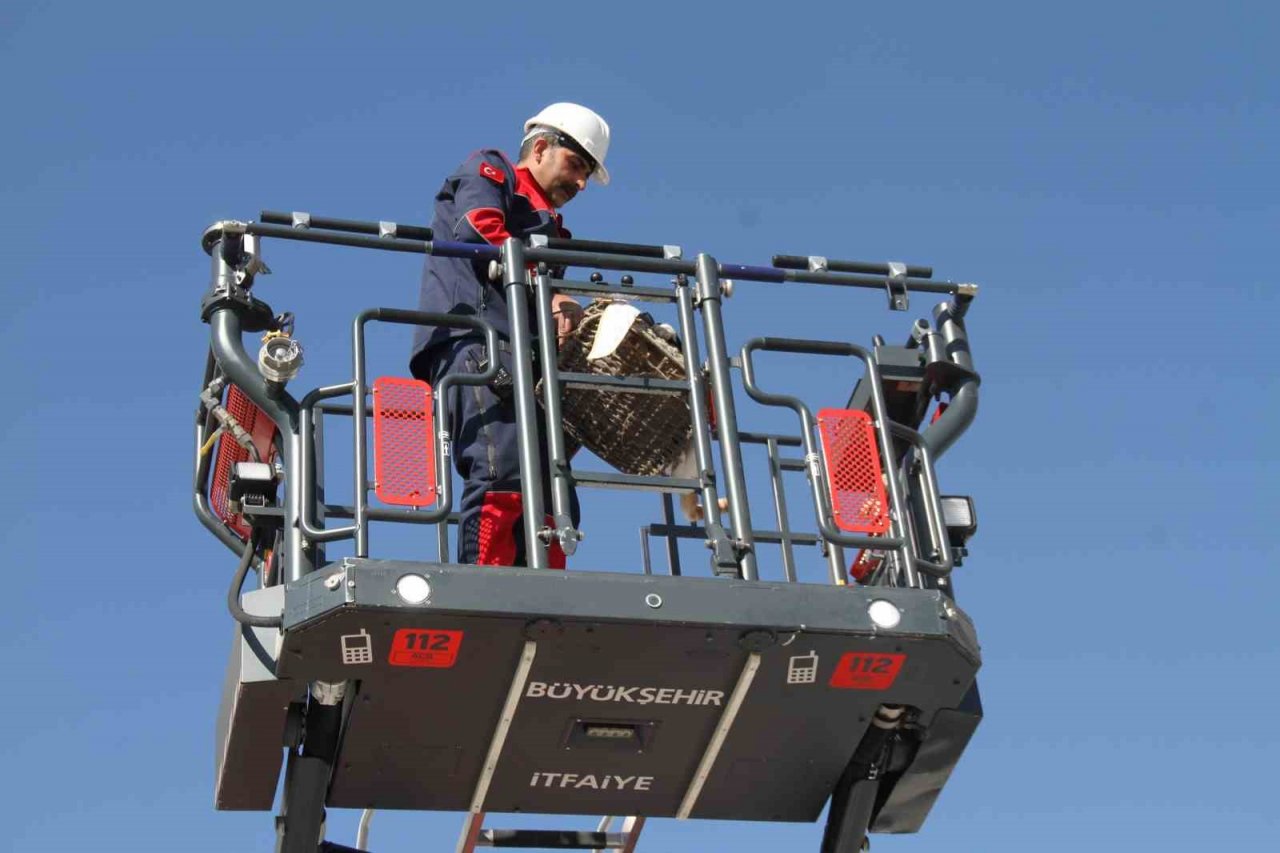 Malatya’da ağır hasarlı binada mahsur kalan kedi kurtarıldı