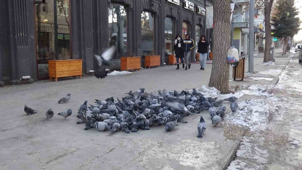 Kars eksi 22’yi gördü, her taraf buz tuttu