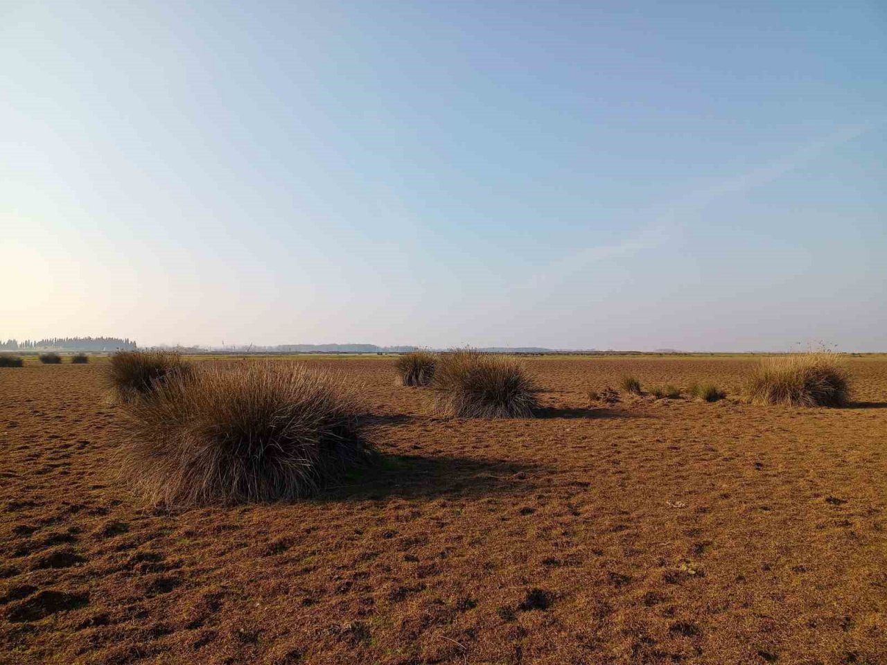 Profesörden kuraklık açıklaması: "Türkiye kuraklık riskini atlattı diyemeyiz"