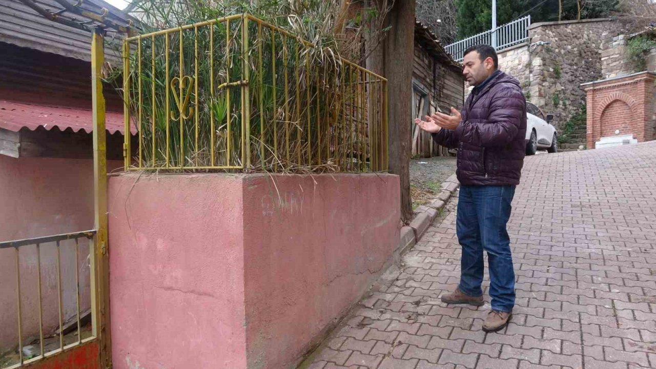 Evin önündeki gizemli türbe merak uyandırıyor