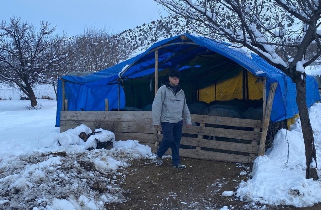 Zorlu kış şartlarında besicilerin ‘kuzu’ mesaisi