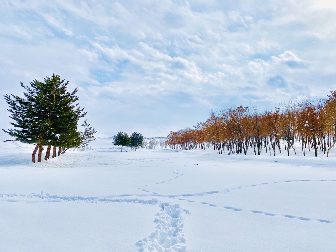 Ağrı’da kış manzarası göz kamaştırıyor