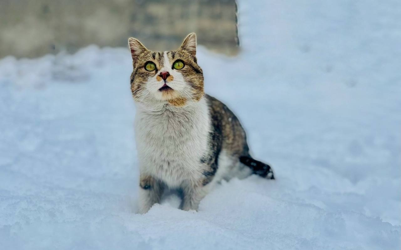 Ağrı’da kış manzarası göz kamaştırıyor
