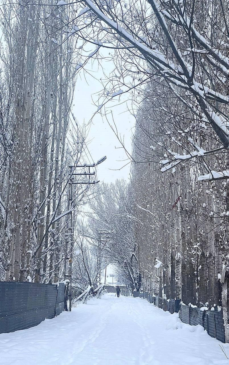 Ağrı’da kış manzarası göz kamaştırıyor