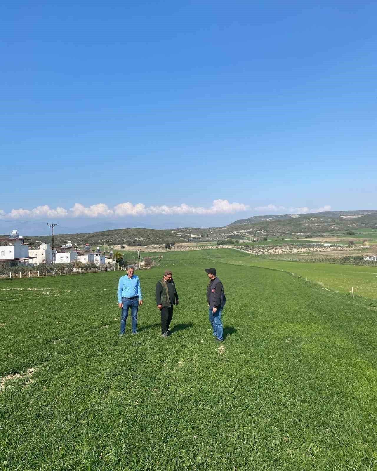 Aydın’da hububat ekili araziler denetlendi