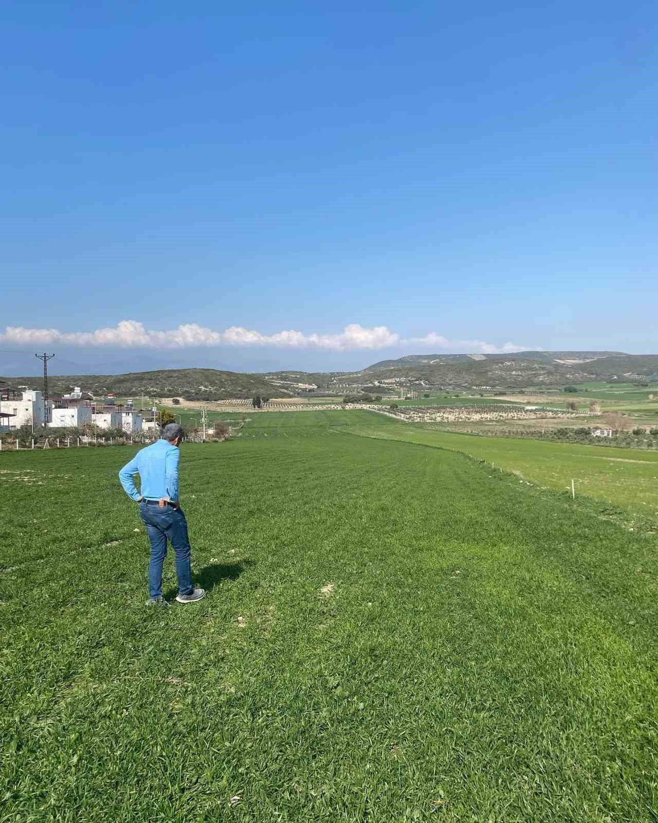 Aydın’da hububat ekili araziler denetlendi