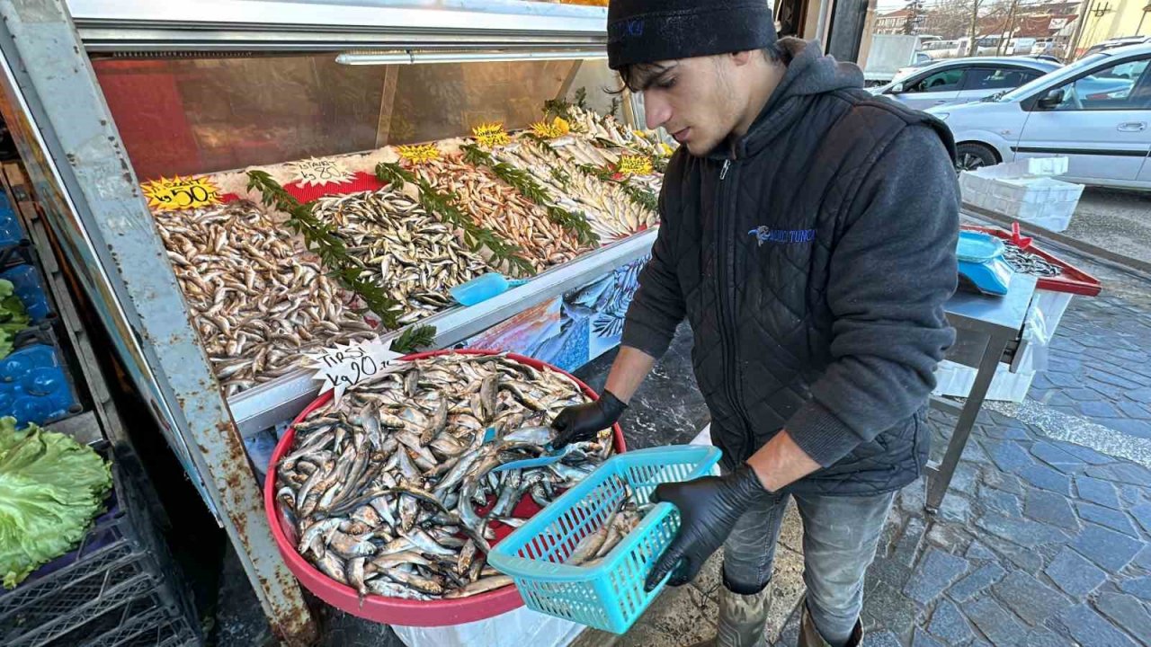 Havalar ısındı, balık fiyatları düştü