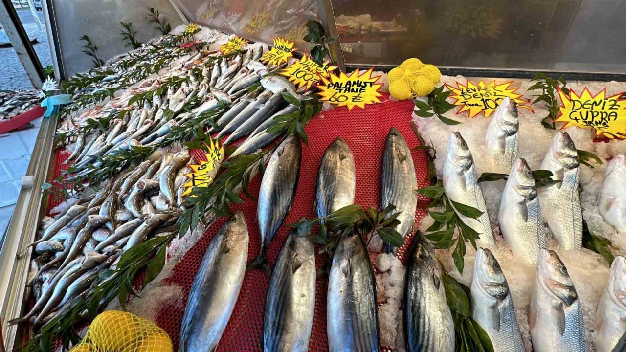 Havalar ısındı, balık fiyatları düştü