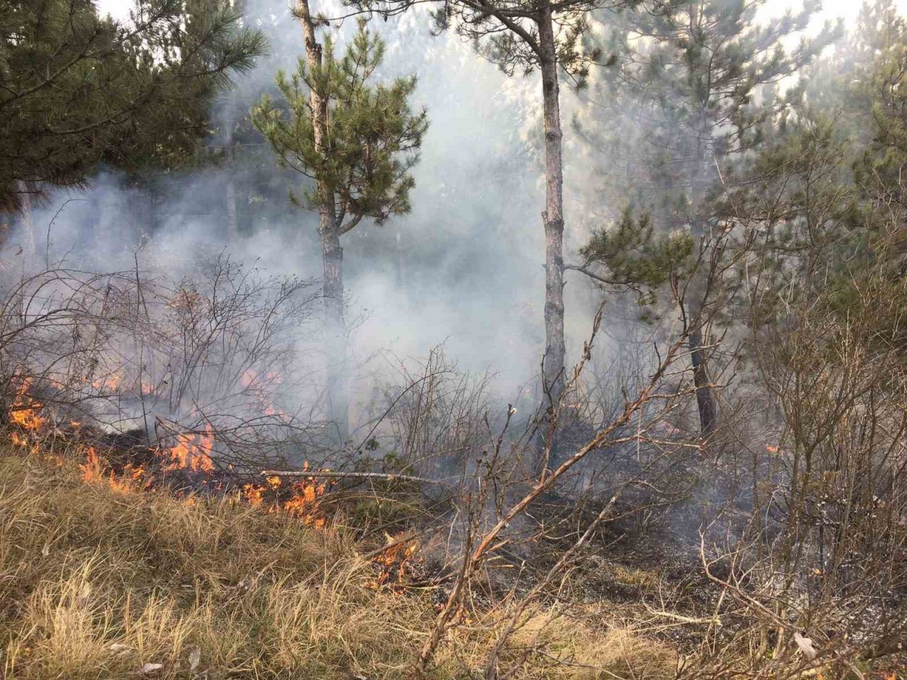 Topladığı çöpleri yakmak isterken ormanı yaktı