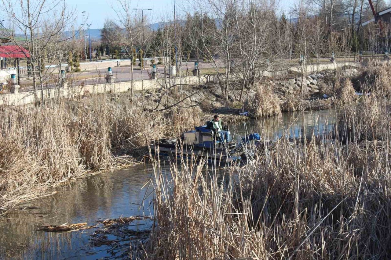 Ada mesireliği bahar aylarına hazırlanıyor