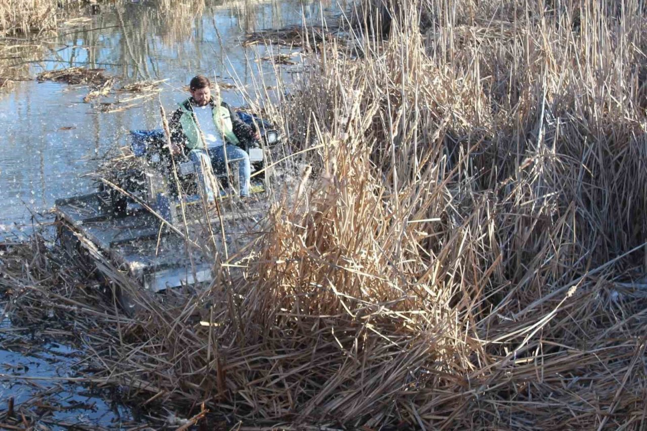 Ada mesireliği bahar aylarına hazırlanıyor