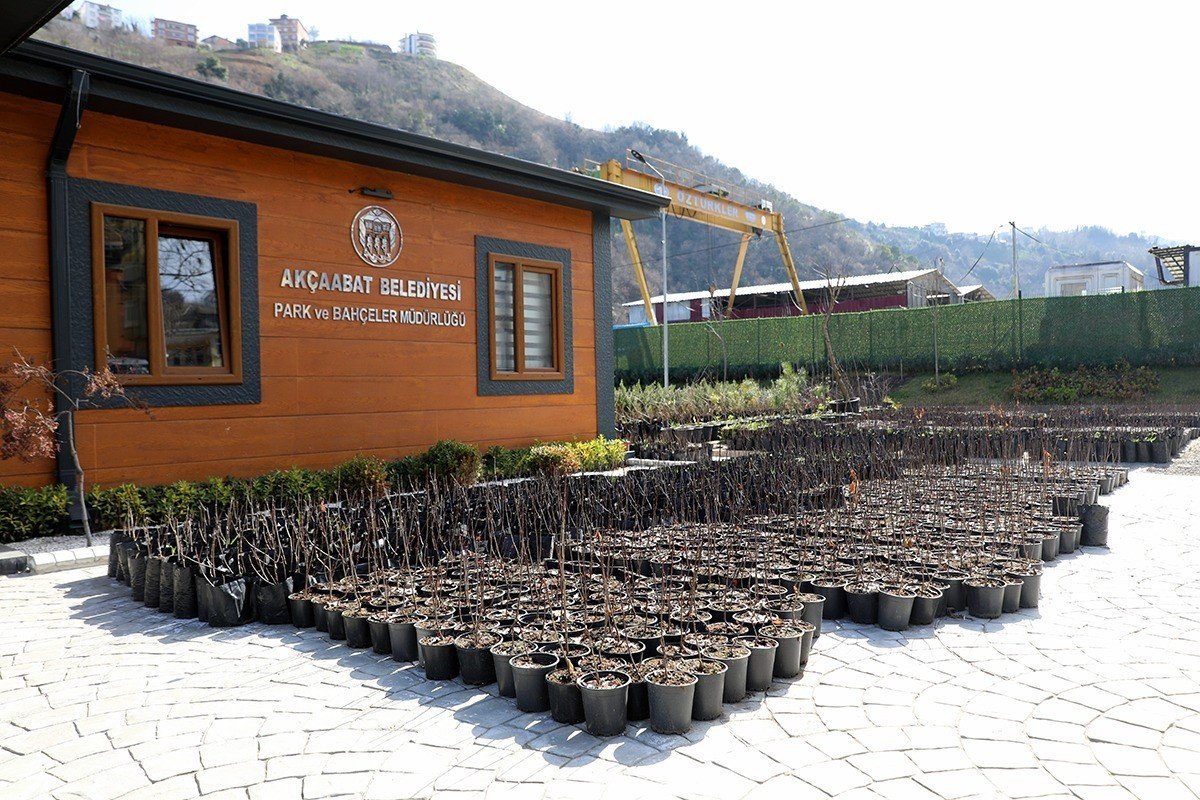 Başkan Ekim: “Akçaabat Karadeniz’de süper meyve ‘Aronya’nın üretim merkezi olacak”