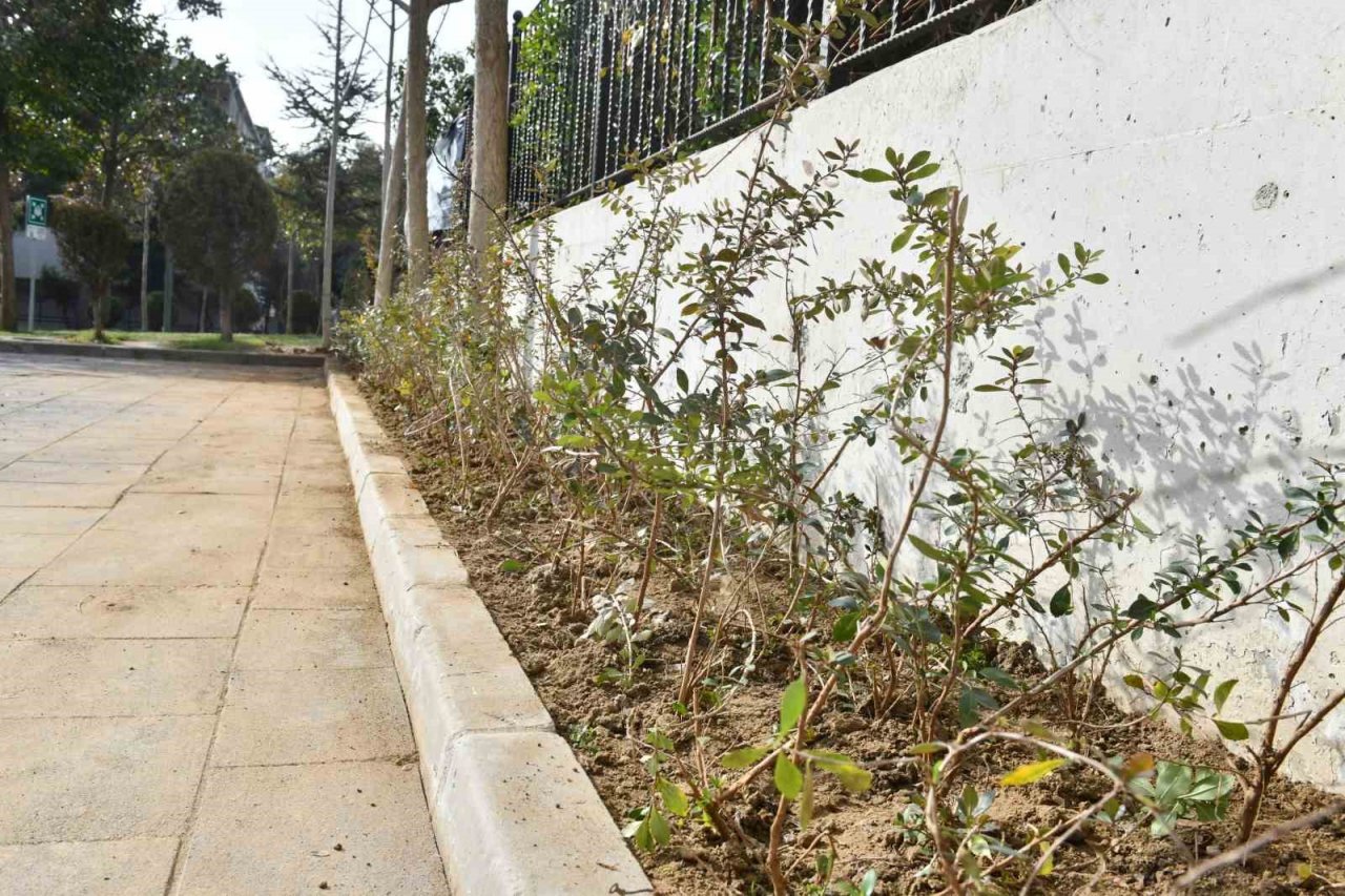 Yeşil bir Esenyurt için çalışıyorlar