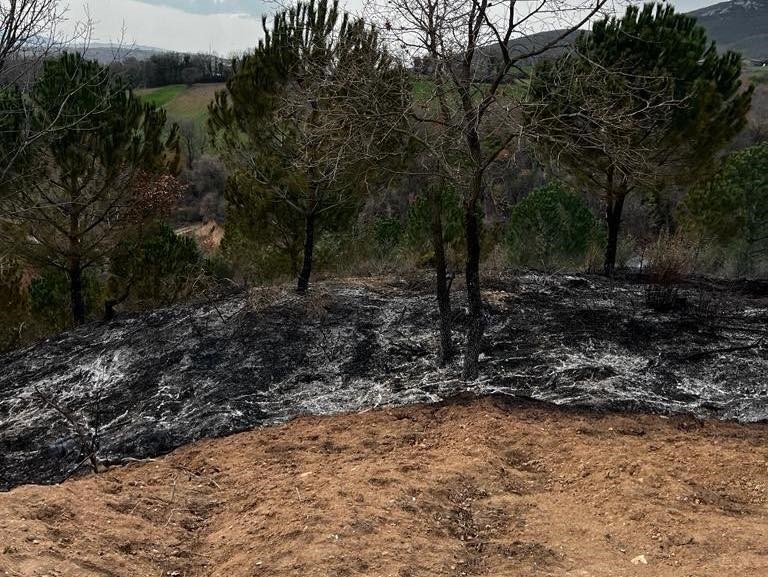 Gönen Yeniakçapınar köyünde orman yangını meydana geldi