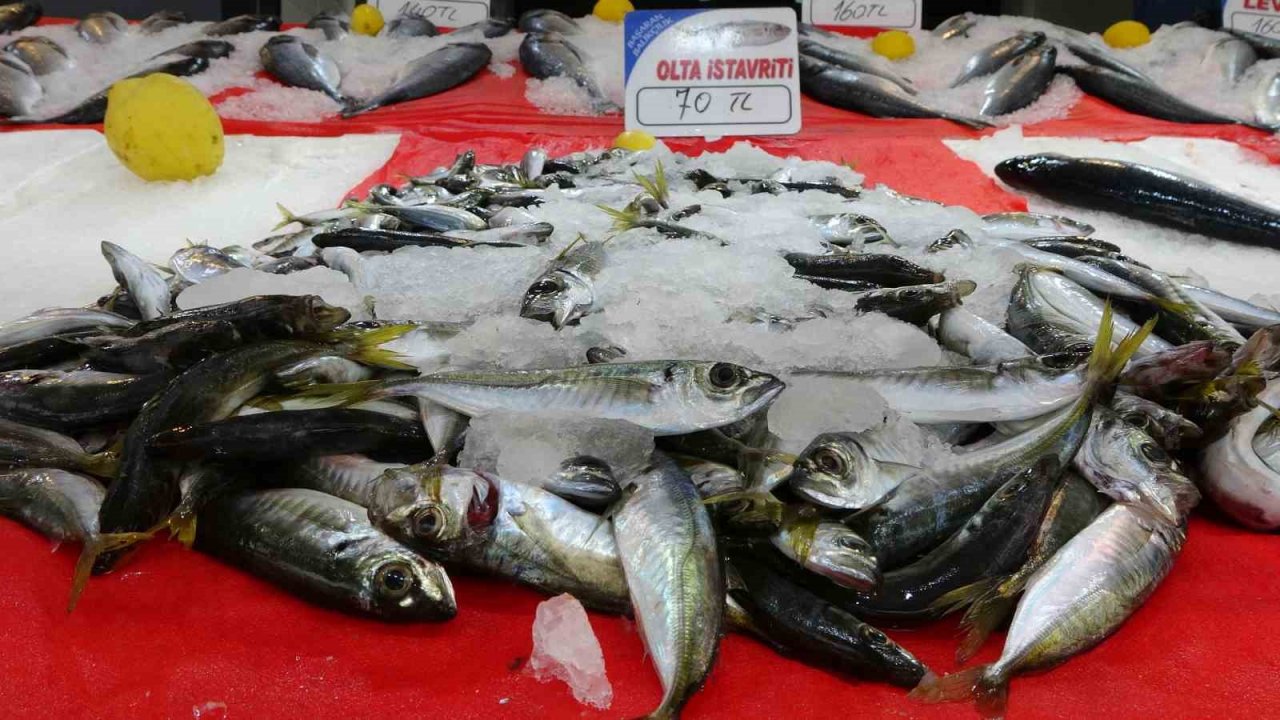 Kıyı balıkçıları, denizdeki olumsuz havadan etkileniyor