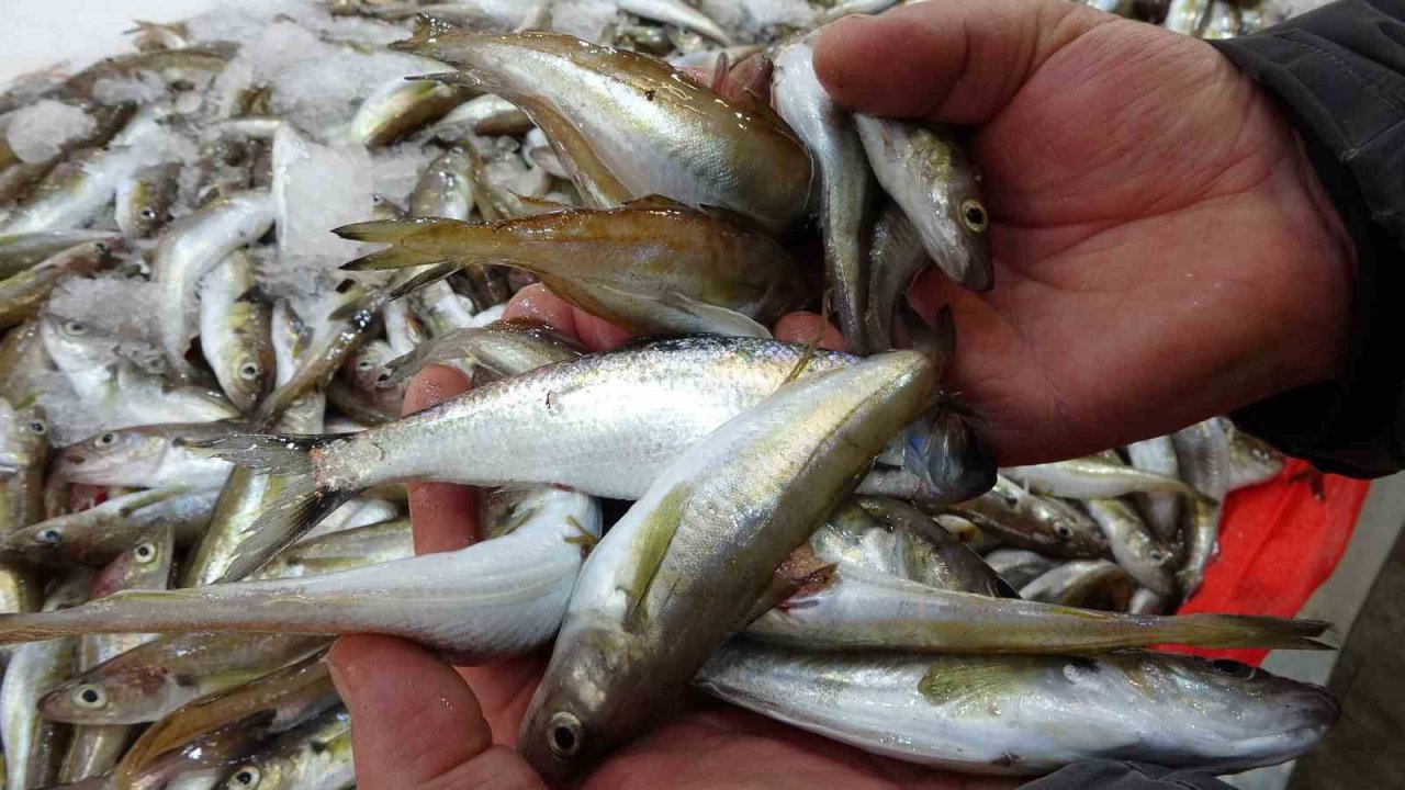 Kıyı balıkçıları, denizdeki olumsuz havadan etkileniyor