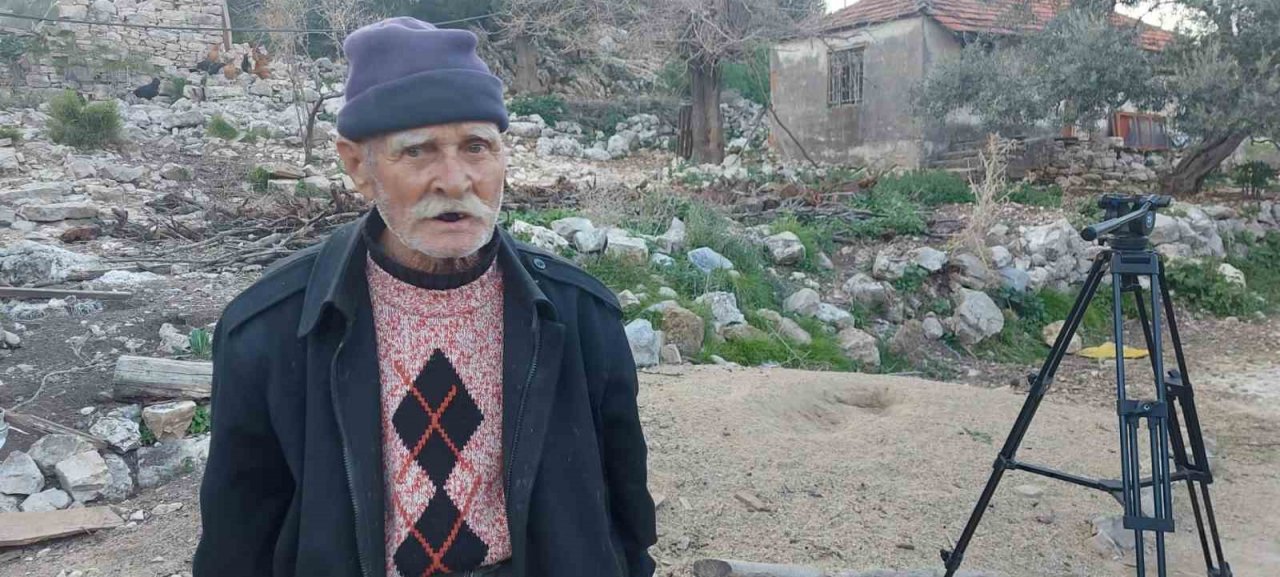 Kendi diktiği zeytin ağaçlarını korumak için başka bahçesine nakletmek istedi, başına gelmeyene kalmadı