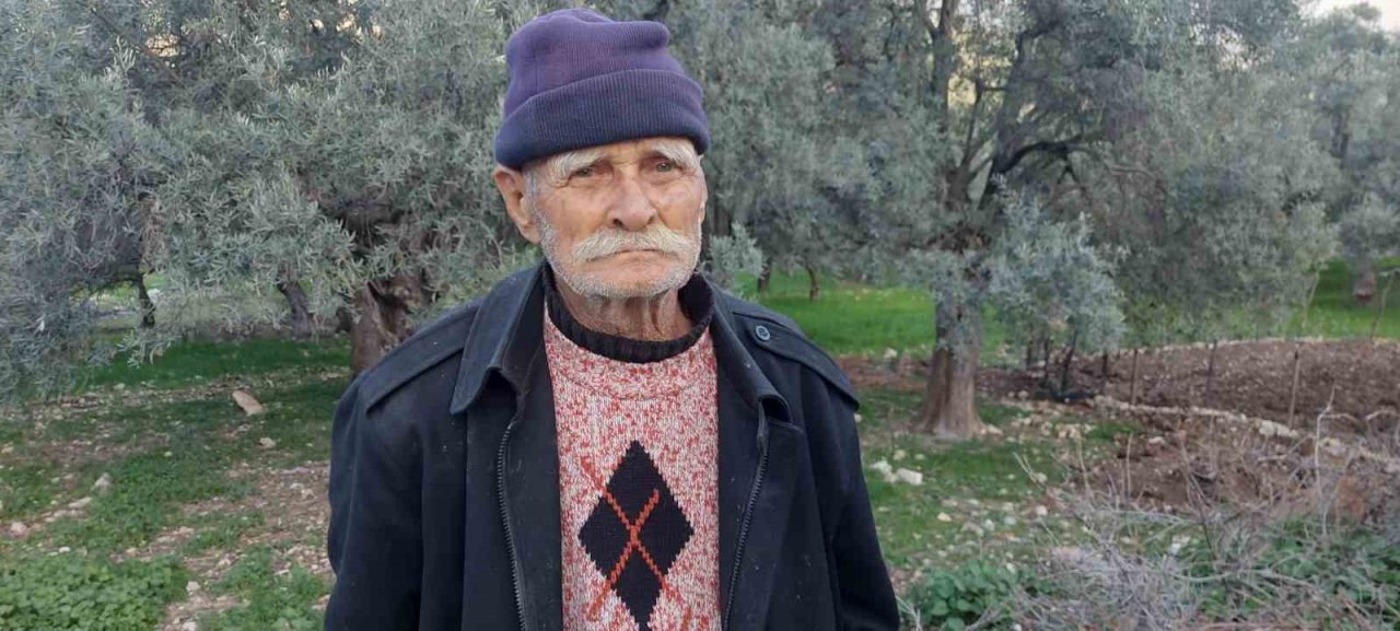Kendi diktiği zeytin ağaçlarını korumak için başka bahçesine nakletmek istedi, başına gelmeyene kalmadı