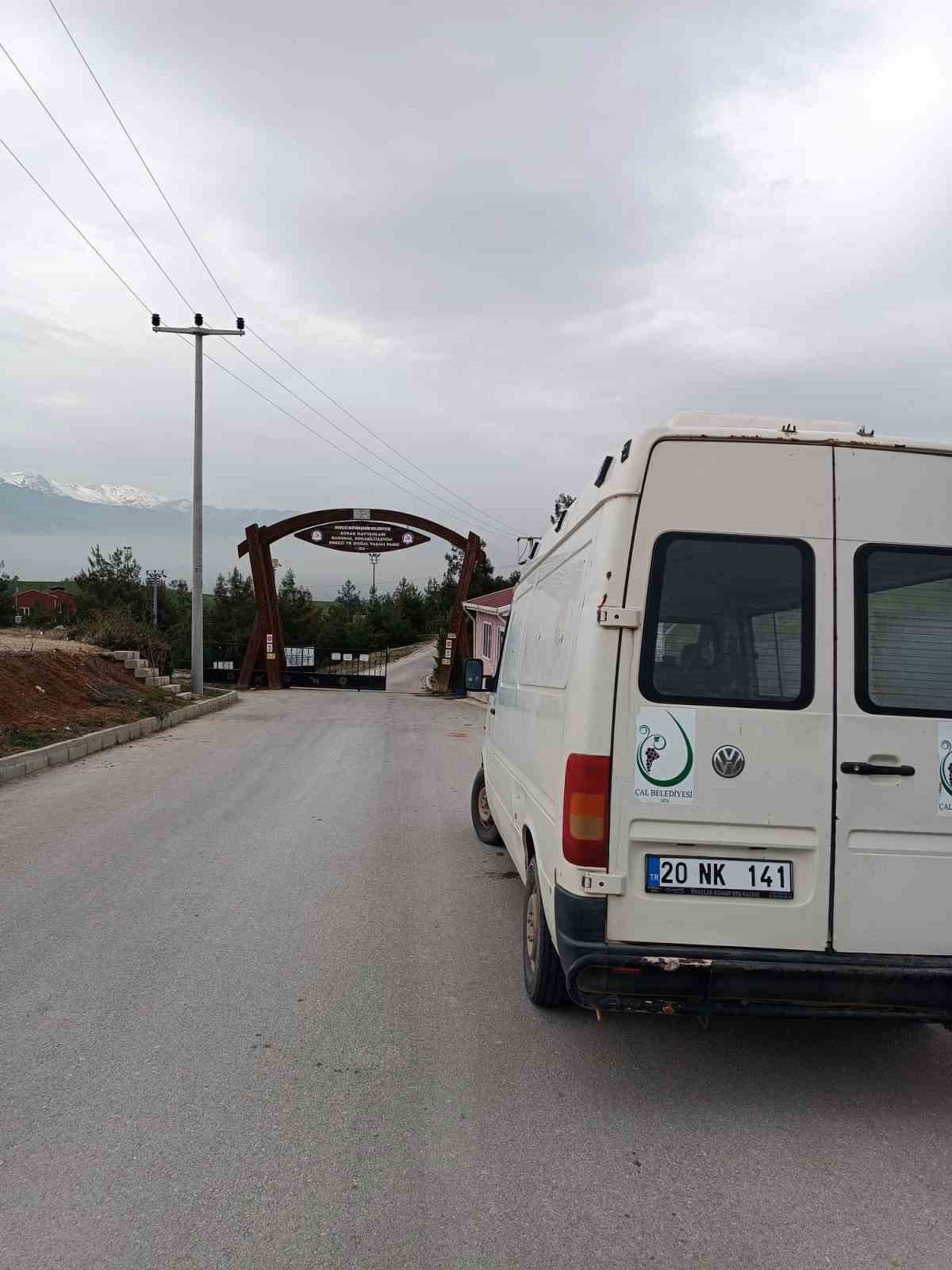 Köpek dövüşüne jandarma baskını: 15 gözaltı
