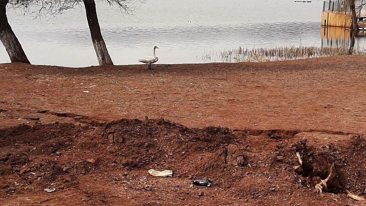 Binlerce ton toprak kaydı, gölün su seviyesi yükseldi