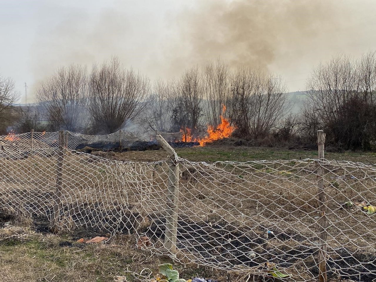 Kastamonu’da hayvan çiftliğinde çıkan yangın büyümeden söndürüldü