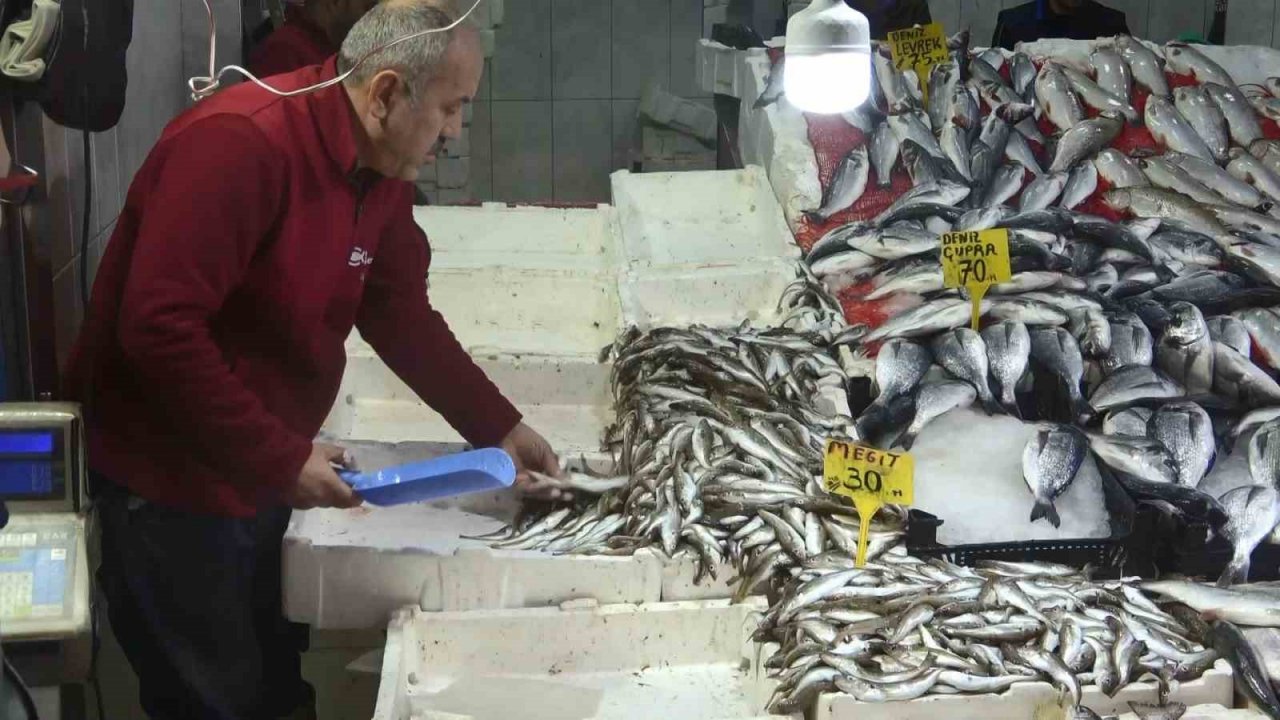 Hamside son günler, şimdi mezgit ve istavrit zamanı