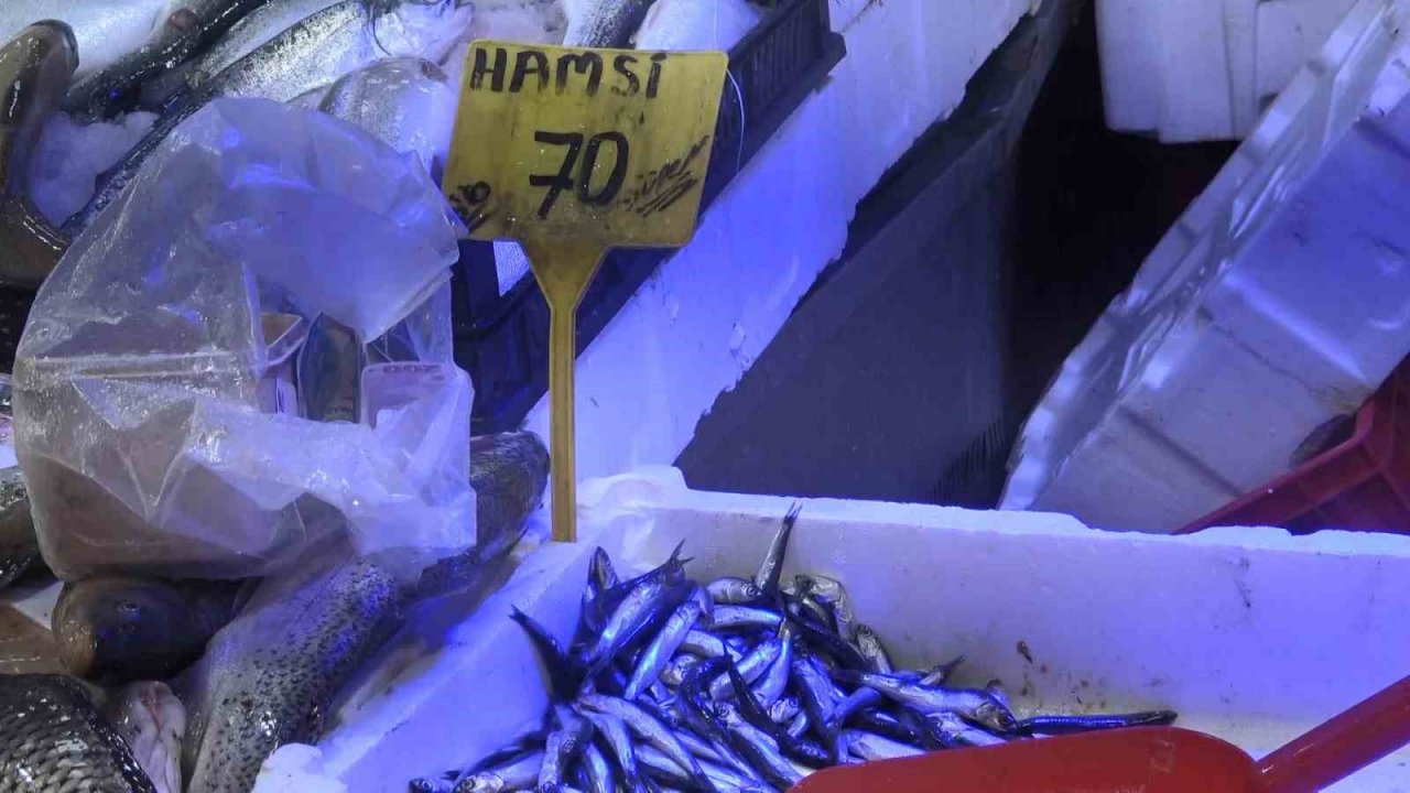 Hamside son günler, şimdi mezgit ve istavrit zamanı