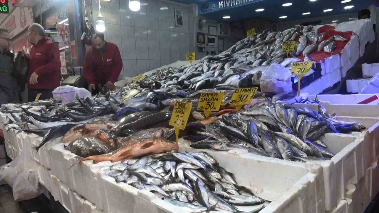 Hamside son günler, şimdi mezgit ve istavrit zamanı