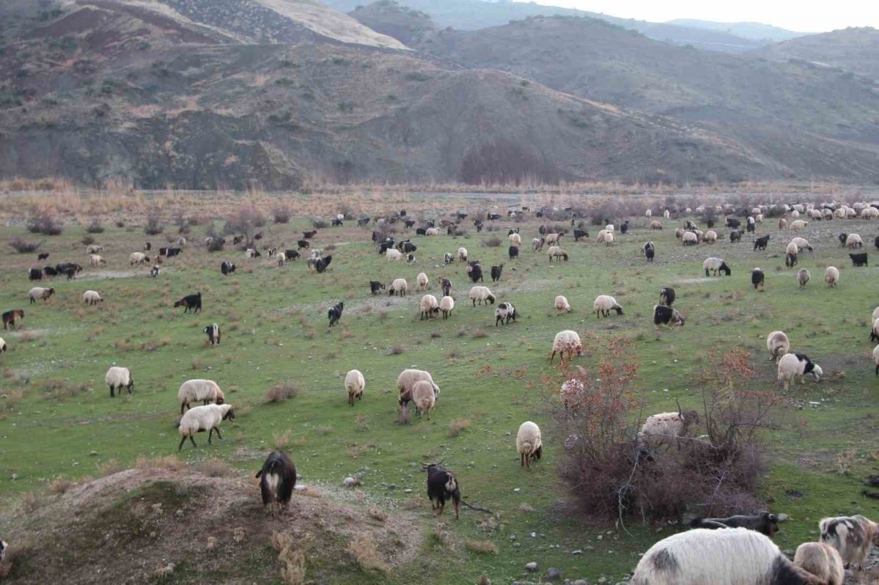 Kuraklık tedirgin ediyor: Umutlar mart ve nisan yağmurlarına kaldı