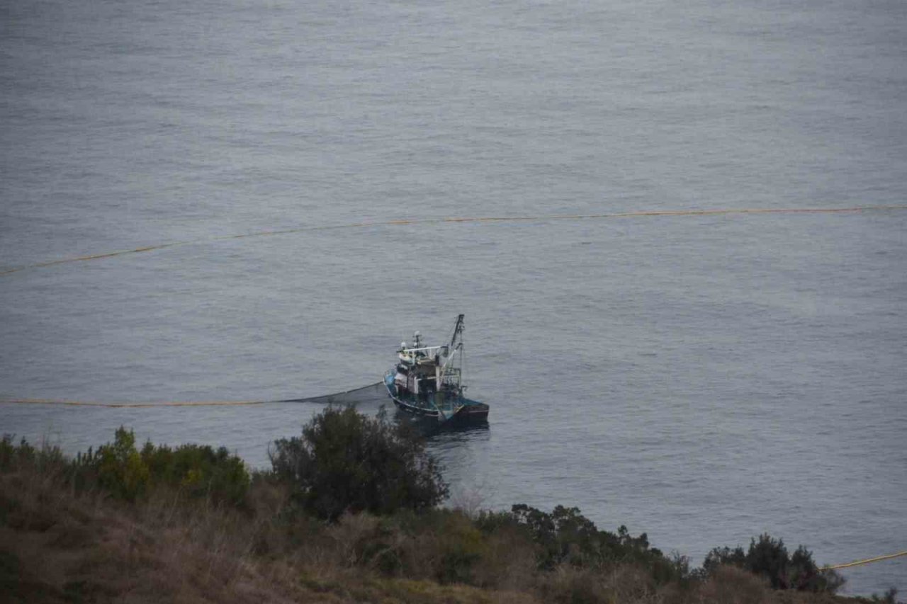 Karadenizli balıkçıların istavrit mesaisi