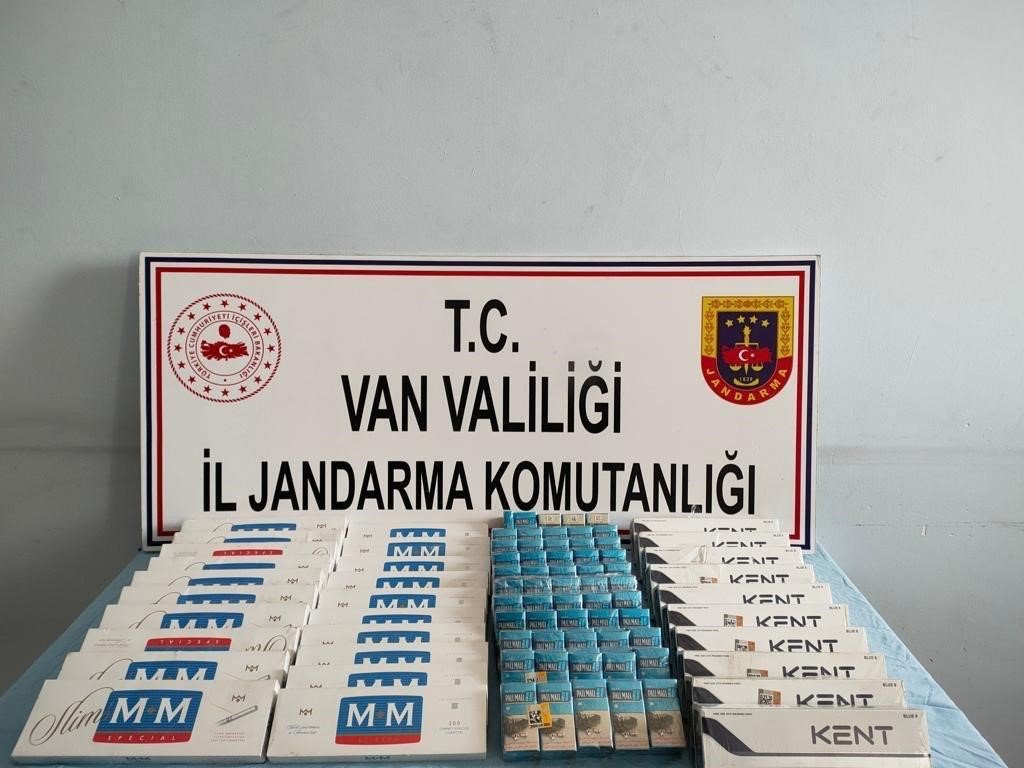 Van’da gümrük kaçakçılığı operasyonu