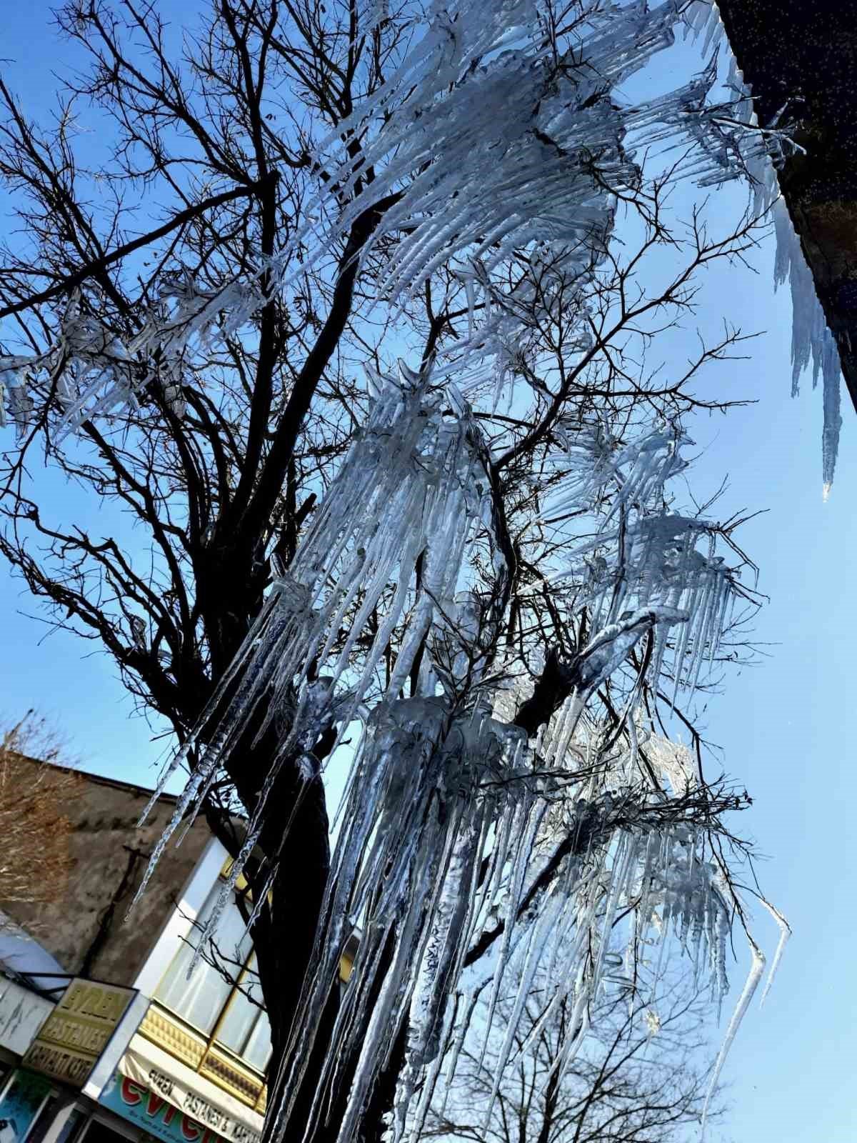 Özalp ilçesinde ağaçlar buz tuttu