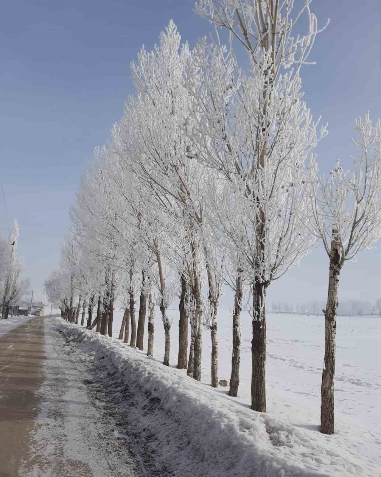 Özalp ilçesinde ağaçlar buz tuttu