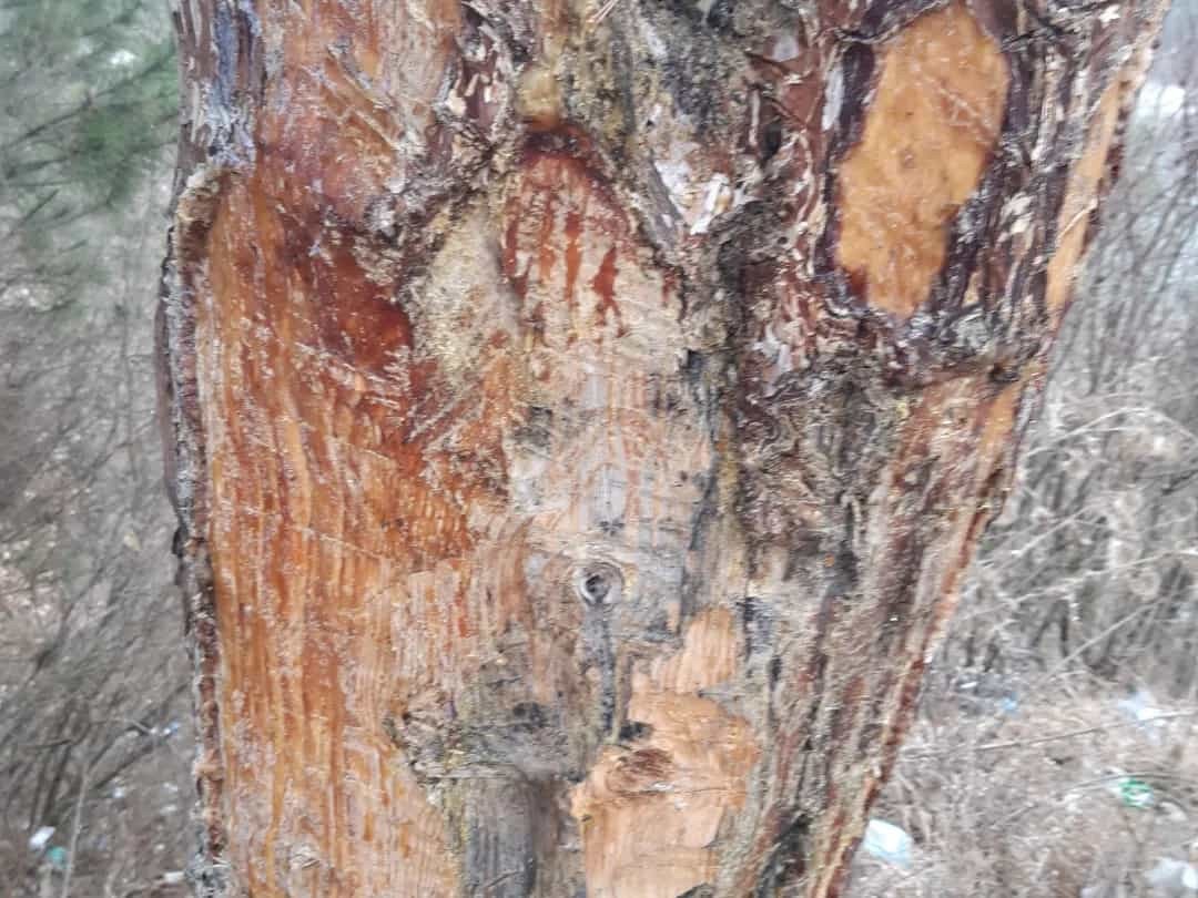 Şehre içme suyunu sağlayan Karaçomak Barajının çevresi adeta çöplüğe döndü