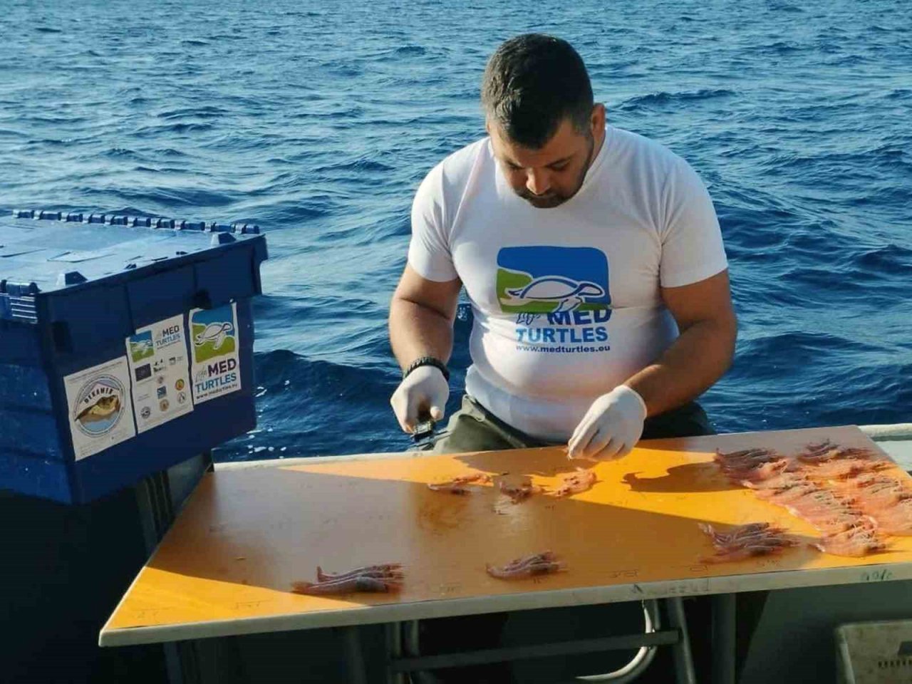 Kaplumbağa dışlama cihazı testleri devam ediyor