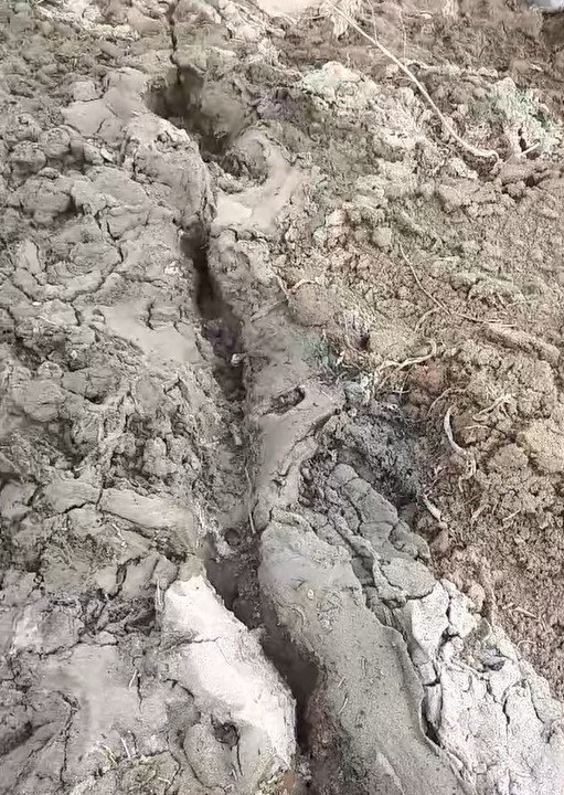 Depremle yarılan tarlalardan yüzeye su çıktı